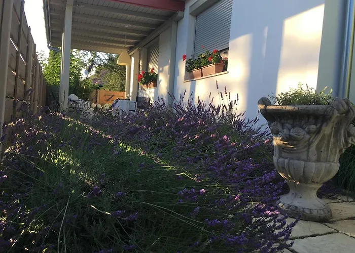 Szelrozsa Apartmanhaz Веленце